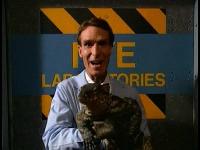 Click to watch 'Reptiles' (popup) Bill Nye The Science Guy